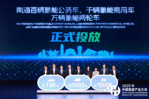 2025年中國氫能產(chǎn)業(yè)大會聚焦高質量發(fā)展路徑與技術交流